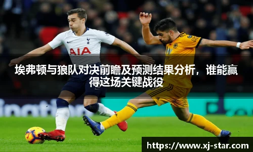 埃弗顿与狼队对决前瞻及预测结果分析，谁能赢得这场关键战役